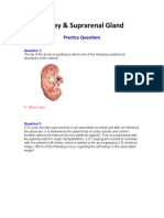 Kidney & Suprarenal Gland: Practice Questions
