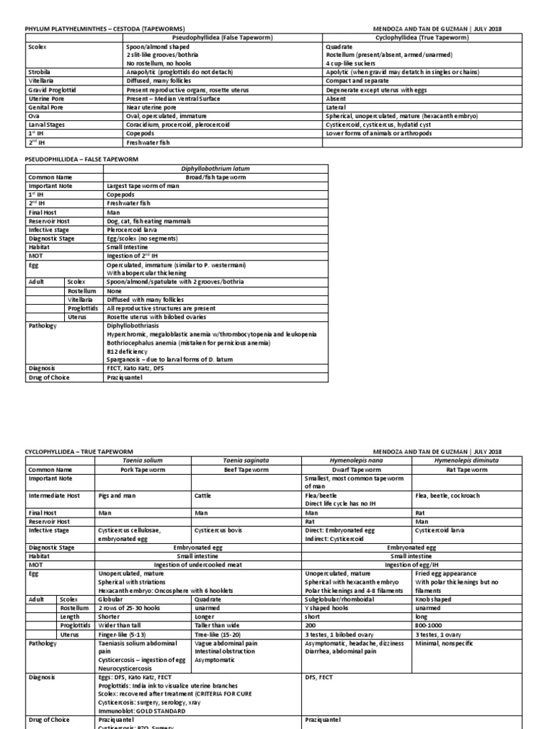 Phylum Platyhelminthes Cestoda (Tapeworms) Pseudophyllidea (False