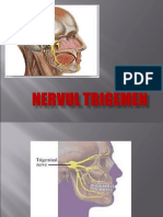 Nervul Trigemen MM
