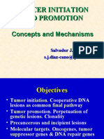 Tumor biology-US ppt