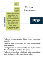 Enzim Pankreas: Kelompok 3