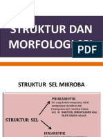 Struktur Dan Morfologi Sel