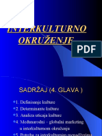 MM 3 - Interkulturno Okruzenje