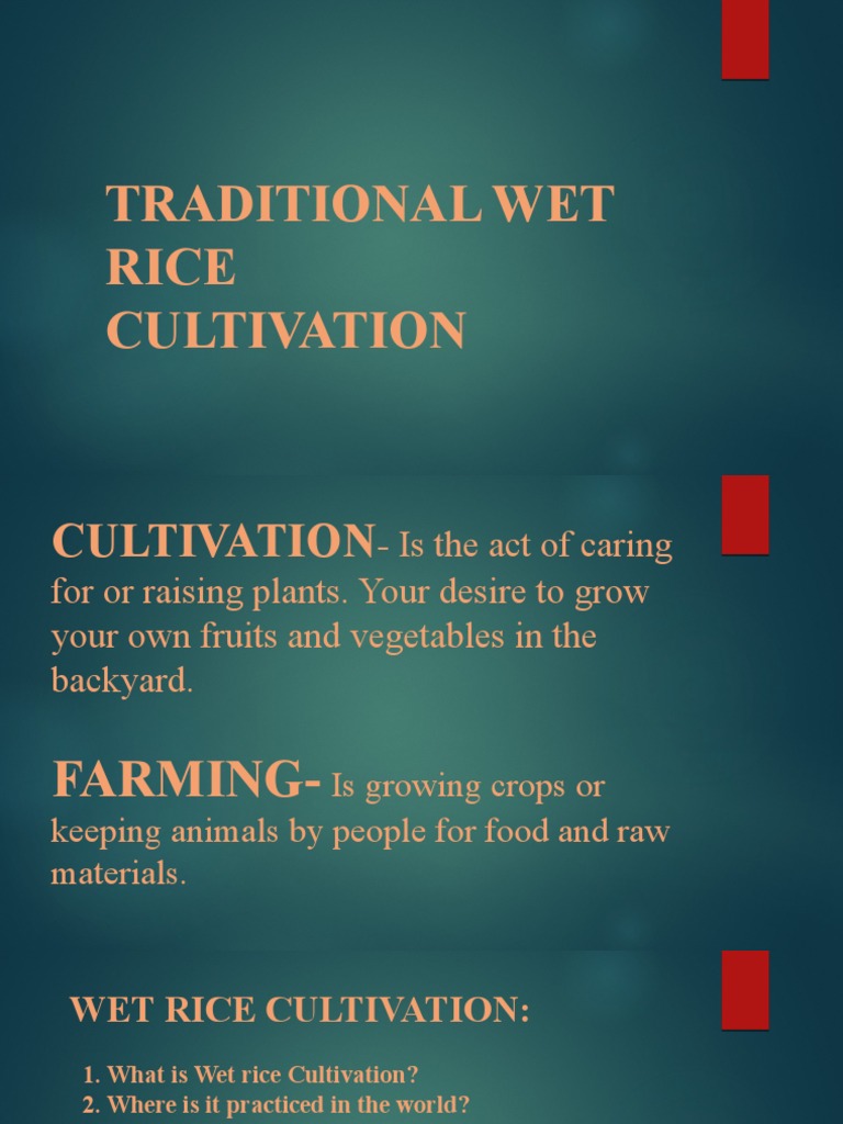 Traditional Wet Rice Cultivation | PDF | Home & Garden | Science ...