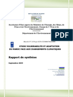 Rapport_synthèse ver  27 oct 2009