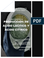 Producción de ácidos láctico y cítrico mediante fermentación