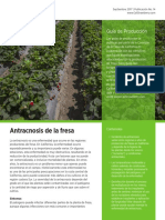antranosis.pdf