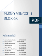 Pleno Minggu 1 Blok 6