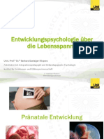 02 - Pränatale Entwicklung