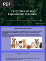 страхование животных (3)