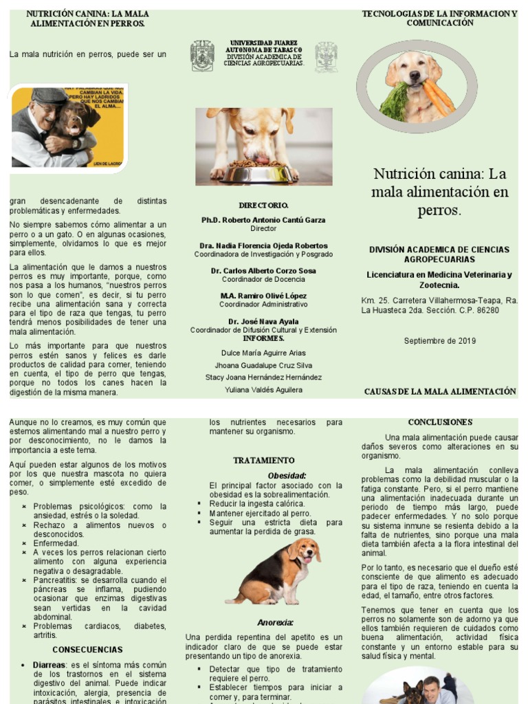 Nutricion Canina Triptico Final Corregido | PDF | Dieta | Obesidad