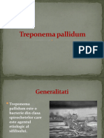 Treponema Pallidum PPP