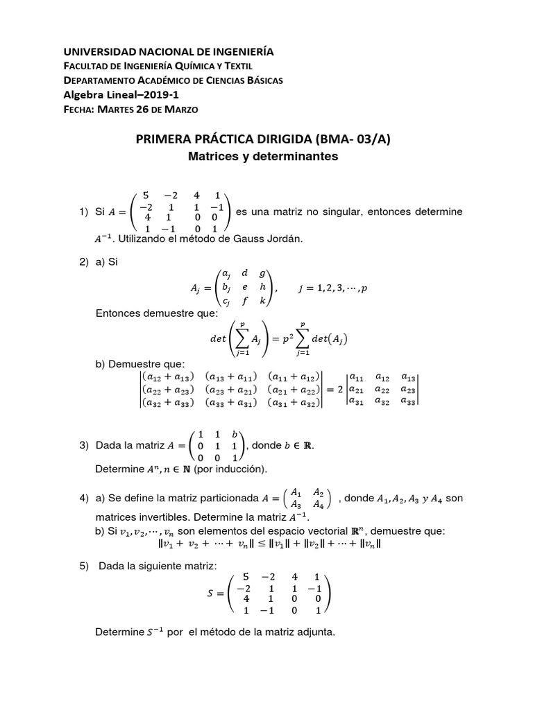PD1 Bma03 2019 1 PDF | PDF | Determinante | Matriz (Matemáticas)