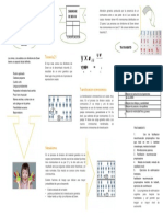 SD Mapa Conceptual