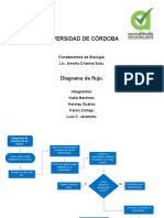 Diagrama de Flujo