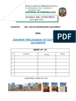 Informe N° 1 - Pilar de un Puente.pdf