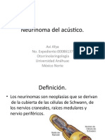 Neurinomadelacstico 131102002911 Phpapp02