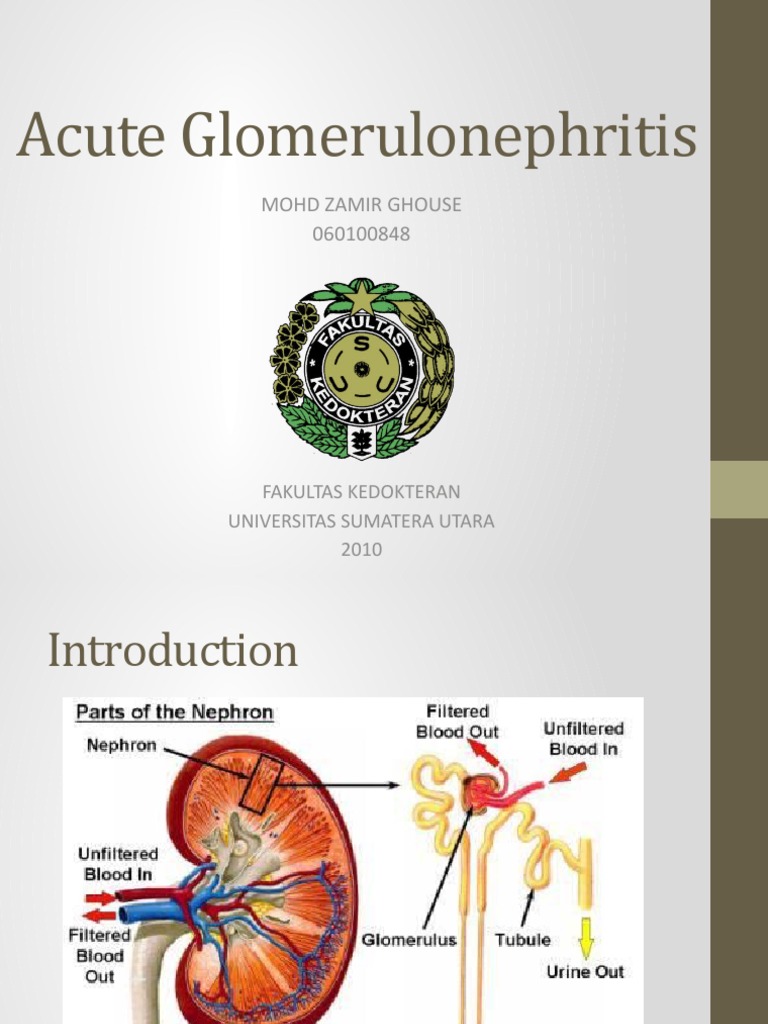 Acute Glomerulonephritis: Mohd Zamir Ghouse 060100848 | PDF | Urinary ...