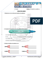 Tema 9-3er Grado Primaria - Raz. Verbal - Familia de Palabras PDF