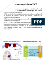 Proteinas Acoplantes