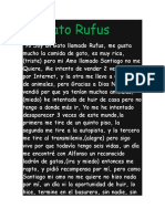 El Gato Rufus monologo heidy (2) (1).docx