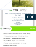 What is the Carbon Market and How Will it Develop