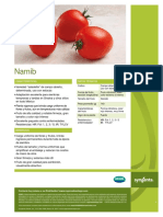 Namib Span PDF
