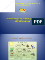 Microorganismos de montaña.ppt