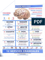 pares craneales fer.pdf