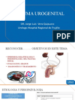 Mehu108 - U8 - T12 - Trauma Urogenital