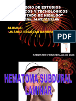 2256541-PAE-HEMATOMA-SUBDURAL.pdf