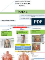 Tarea 1