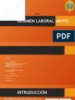 Regimen Laboral MYPE-1