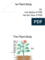 Plant Body