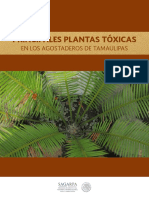 Plantas Toxicas de Tamaulipas 2018