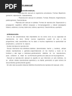 Reproducción Asexual