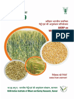 Director's Report Highlights Record Wheat Production in India