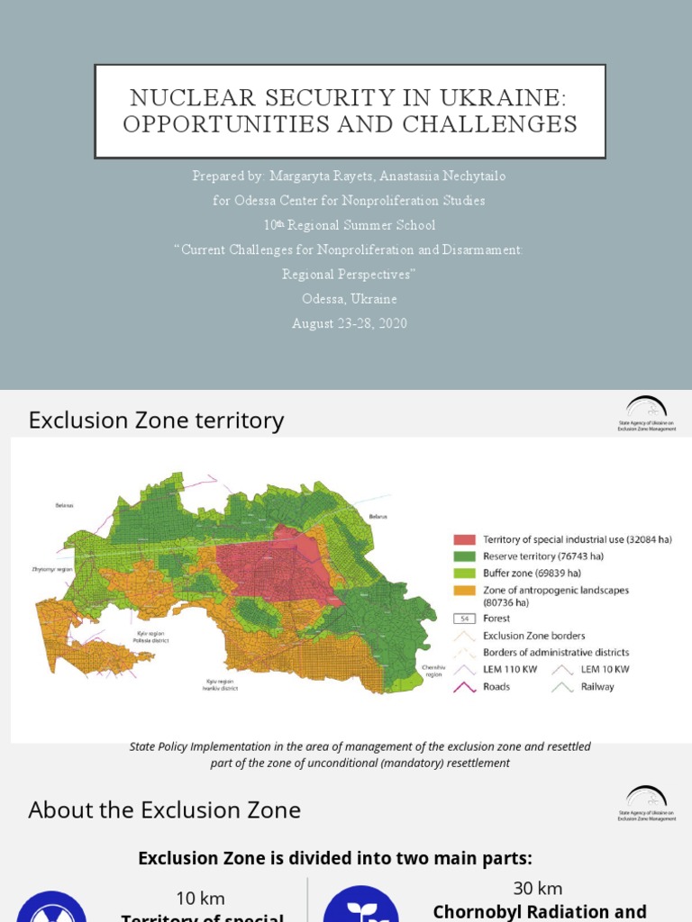 Nuclear Security Challenges in Ukraine | PDF | Nuclear Power Plant ...