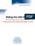 Riding The LNG Wave: An Assessment of The Global LNG Market To 2025
