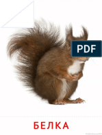 Карточки Домана - Животные и их детеныши PDF