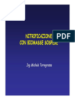 Nitrificazione Con Biomasse Sospese PDF