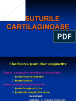 lp-mg-5-tesuturi-cartilaginoase (1).ppt