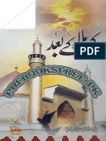 Karbala K Baad PDF