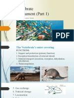 Vertebrate Integument Functions and Structure