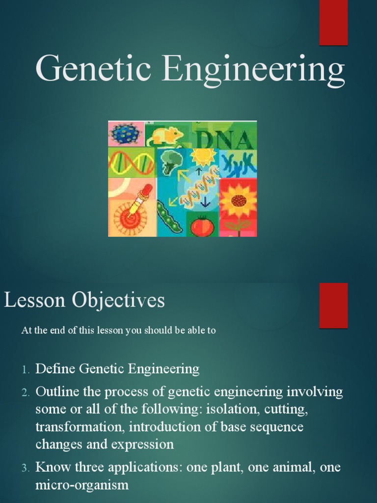 Principle Of Genetic Engineering Pdf – KKBT