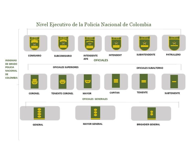 Grados de La Policia Nacional de Colombia PDF PDF