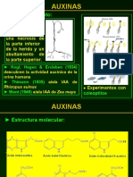 Auxinas