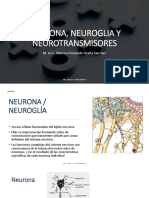 Neurona y Neuroglia PDF