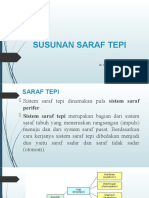 Susunan Saraf Tepi