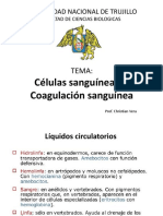 1.1-SISTEMA SANGUINEO-zootecnia.pptx